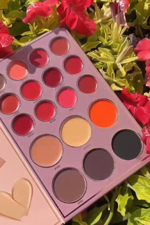 Professional Multi-Shade Makeup Palette
